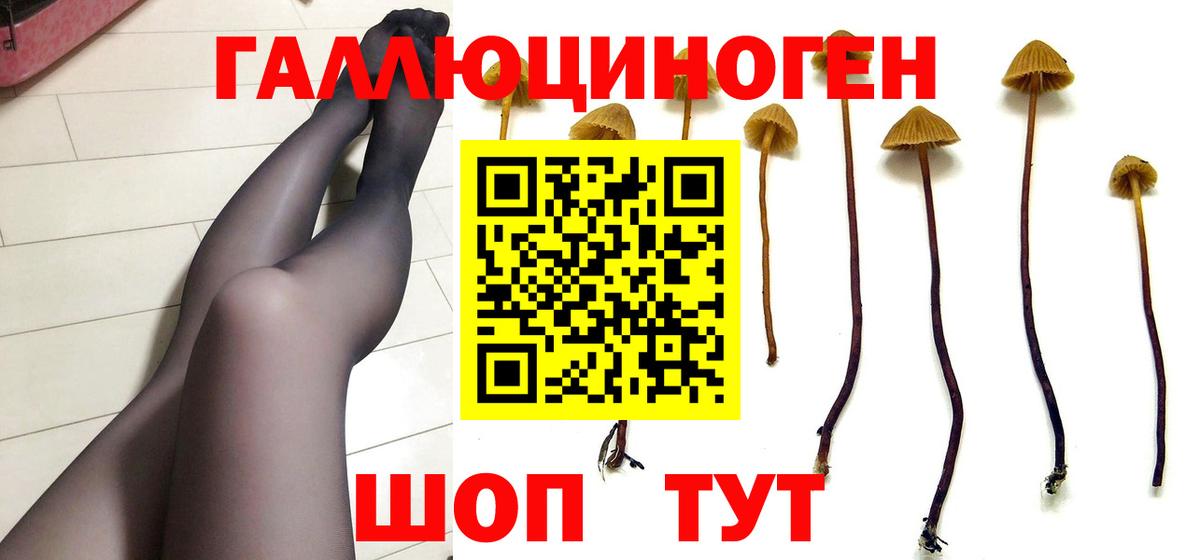 Коряжма  Псилоцибиновые грибы мицелий  Вход с VPN 